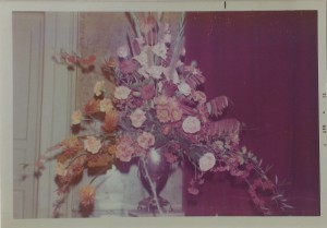 La Fondazione Del Garden Club Di Bologna La Prima Dimostrazione Di George Smith In Italia 1973