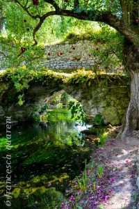 Gite e Viaggi del Garden Club di Bologna - Giardino di Ninfa III