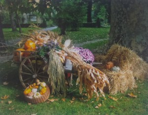 Una Zucca nell'Orto, 2012