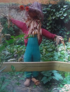 Una Zucca nell'Orto, all'Orto Botabico dell'Università di Bologna