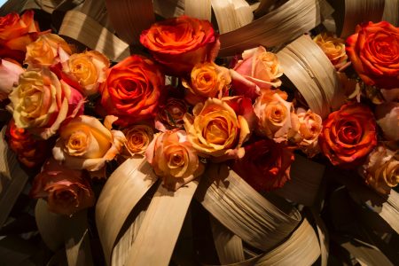 Archivio fotografico del Garden Club Bologna