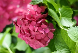 Appuntamenti Settembre - Novembre 2019