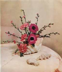 Composizione Camilla Malvasia Conchiglia