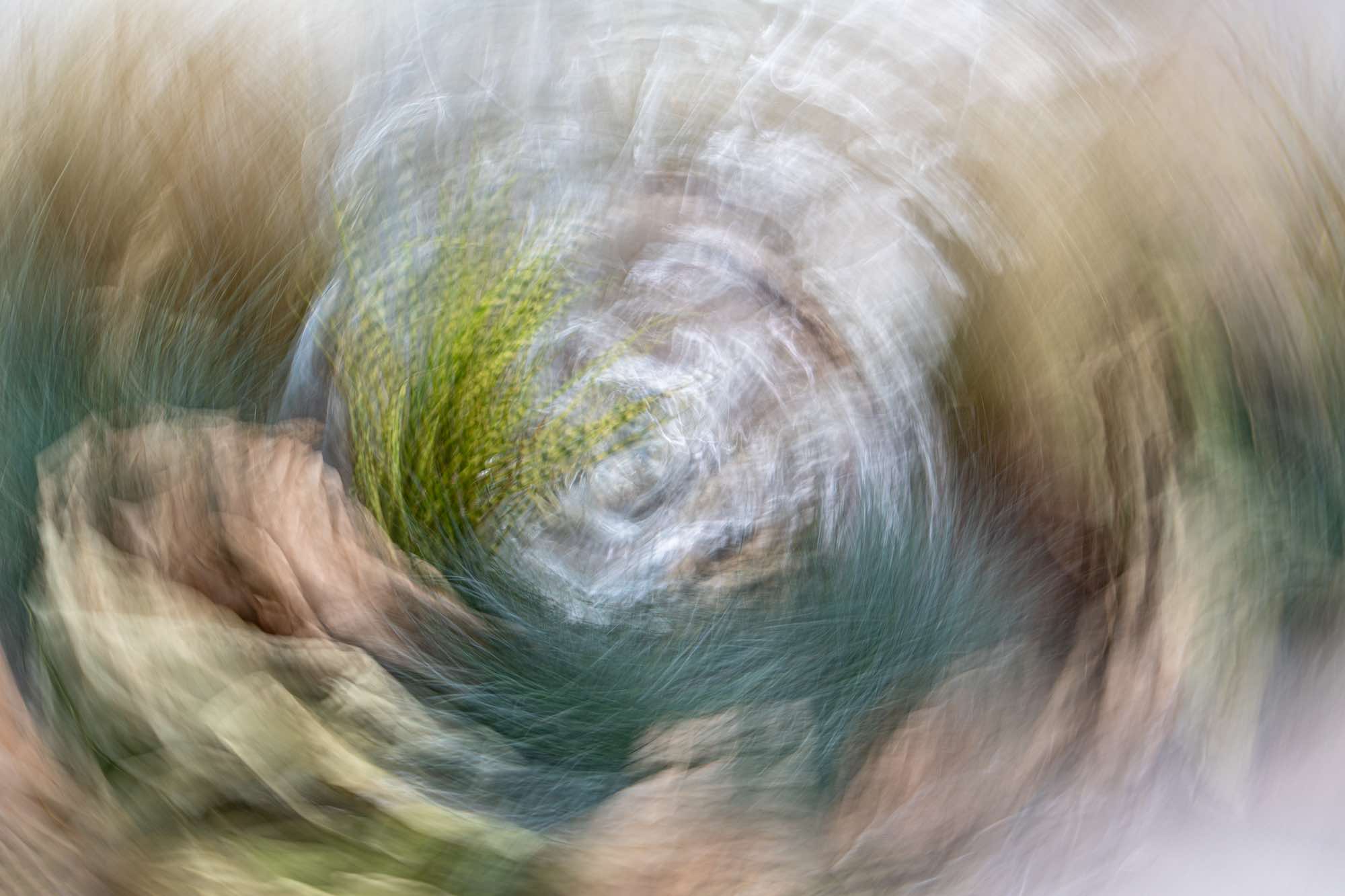 "Un pianeta malato" - Installazione floreale in Piazza Liber Paradisus nella sede del Comune di Bologna