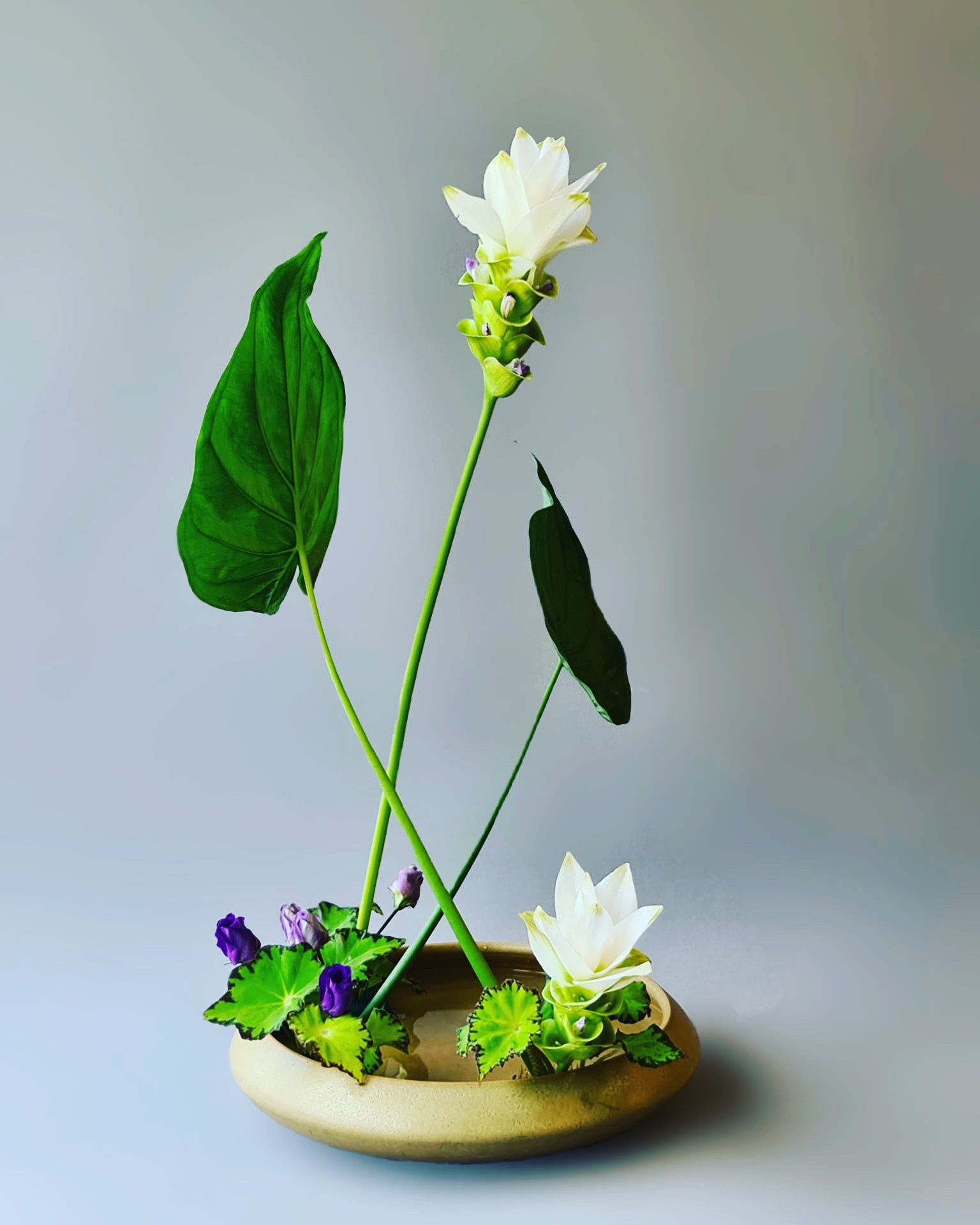 IKEBANA OHARA OPEN DAY Garden Club Camilla Malvasia Bologna