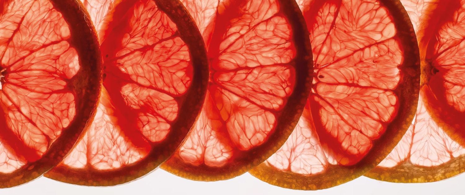 appuntamenti-culturali-garden-club-bologna-inizio-2026