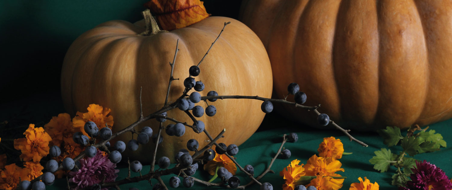 Circolare2-2026-appuntamenti-autunno-al-Garden-Club-Bologna