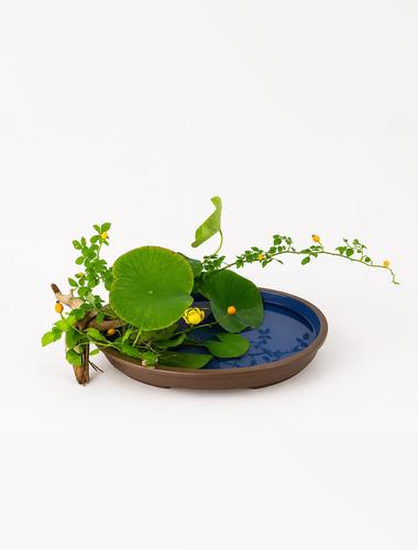 Corso principianti ikebana 2026 2027